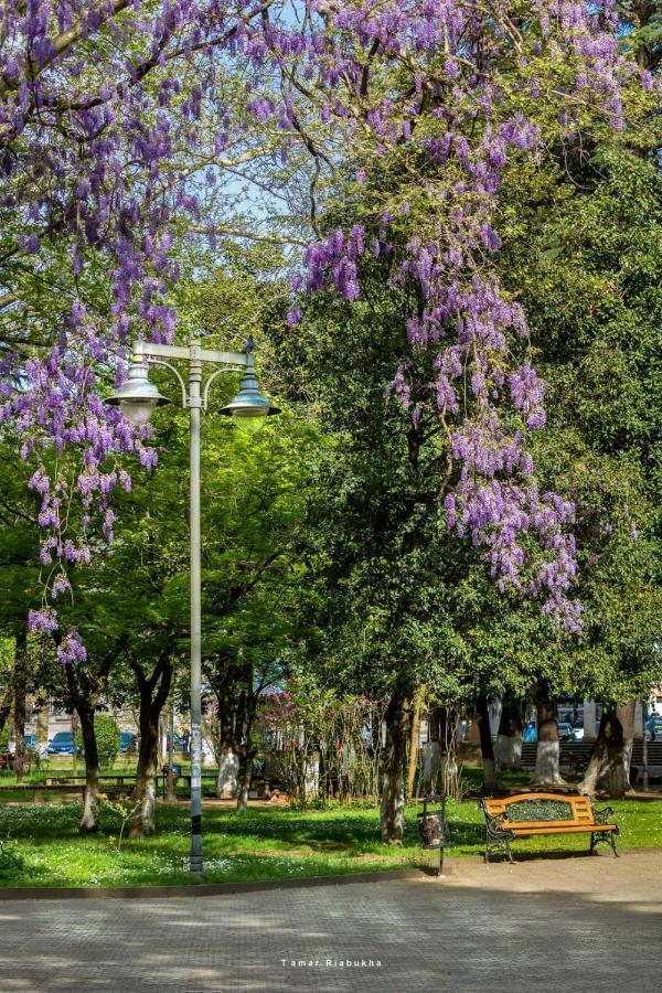 Гостевой дом Excellent Hostel Кутаиси Экстерьер фото